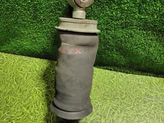 пневмоподушка подвески кабины IVECO Stralis 2 поколение 2010, 10.3 л., F3AE0681D, дизель, АКПП, 500357352