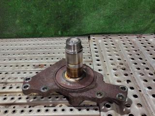 кулак задний левый MAN TGX 1 поколение 2016, 12.4 л., D 2676 LF 52, дизель, АКПП, правый руль, 81354010273