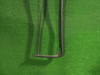 Уплотнитель стекла DAF XF 105 1 поколение 2010, МКПП, 1259716