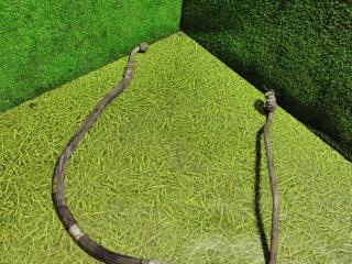 трубка кондиционера MAN TGX 1 поколение 2016, 12.4 л., D 2676 LF 52, дизель, АКПП, правый руль, 81619750289