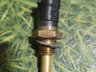 датчик температуры топлива Ford F-Max 2019, дизель, АКПП, 0281002209