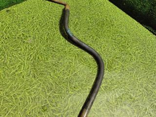 шланг гидроусилителя Volvo FH 3 поколение 2014, 12.8 л., D13K460, дизель, МКПП, 21841373