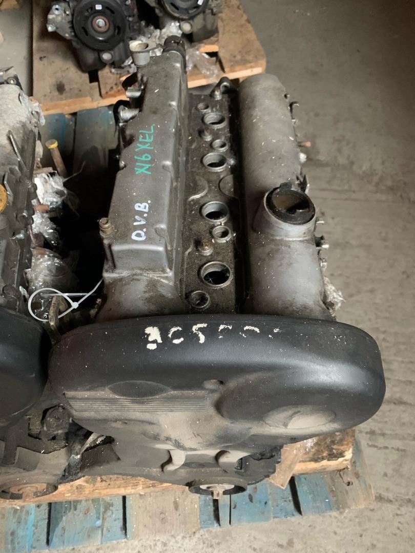 двигатель Opel Vectra B 1999, 1.6 л., X 16 XEL, бензин, 6G74 - фото №1