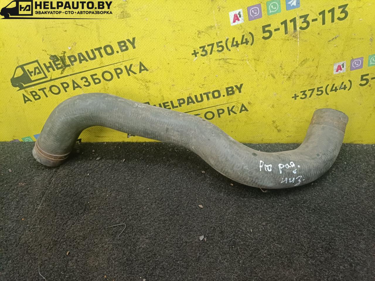 патрубок радиатора Nissan Primera P10 1993, 1.6 л., i, бензин, МКПП, седан, передний привод - фото №1