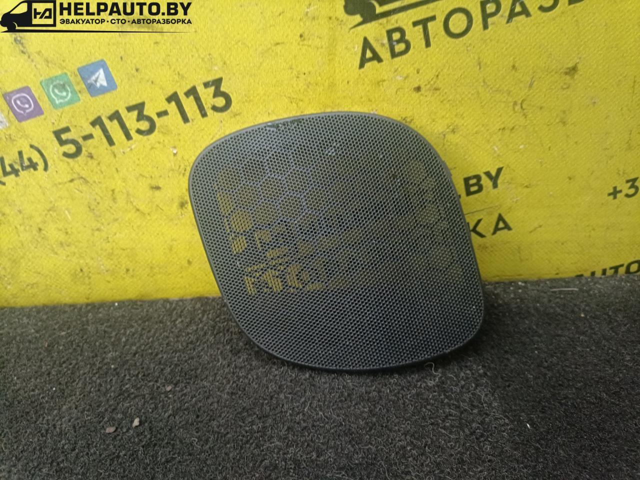Накладка (сетка) динамика Opel Astra G 2001, 1.6 л., бензин, МКПП, универсал, передний привод - фото №1