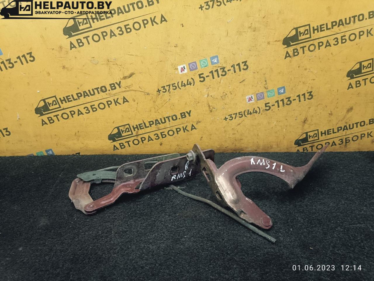 петля капота Renault Megane 1 поколение 1998, 1.9 л., F8Q 620, дизель, МКПП, бордовый, седан, передний привод - фото №1