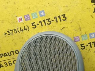 сетка на динамик Renault Scenic 1 поколение 1998, 1.6 л., K7M 702, бензин, 5МКПП, серый, передний привод