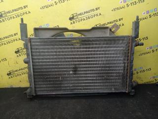 радиатор (основной) Opel Astra F 1992, 1.4 л., C 14 NZ, бензин, МКПП, красный, хетчбэк 5 дв., передний привод