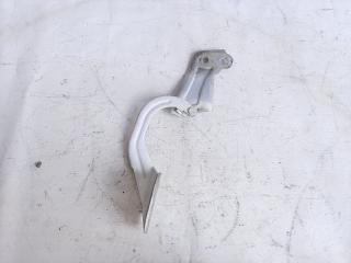 петля капота левая Ford Focus 3 поколение 2014, 1.6 л., IQDB, бензин, 5МКПП, универсал