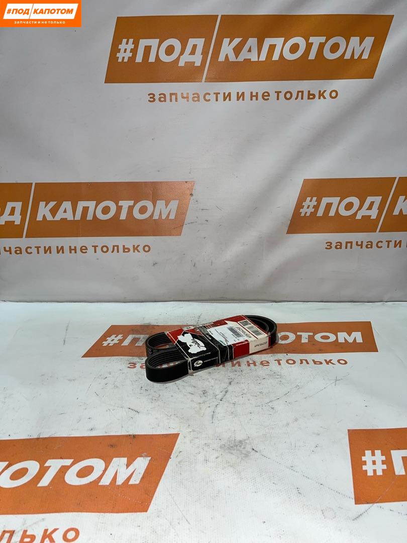 ремень приводной Ford Focus 2 поколение (2004 - 2008), 1.6 л., 6PK1042SF - фото №1