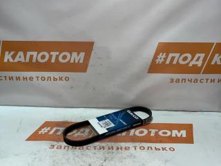 ремень приводной Ford Focus 2 поколение (2004 - 2008), 1.8 л., 5PK705EE