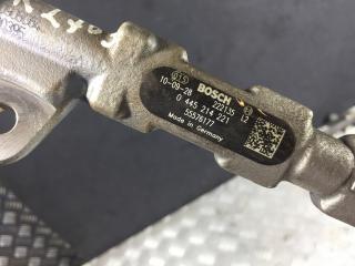 топливная рампа Opel Insignia 1 поколение (A) 2010, 2.0 л., CDTi, дизель, МКПП, хетчбэк 5 дв., 0445214221, 55576177